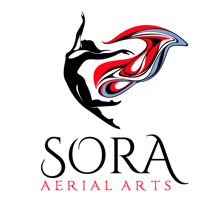 KY Aerial Arts, Circus, Pole, & Fitness Studio with Infrared Sauna - Sora  Aerial Arts