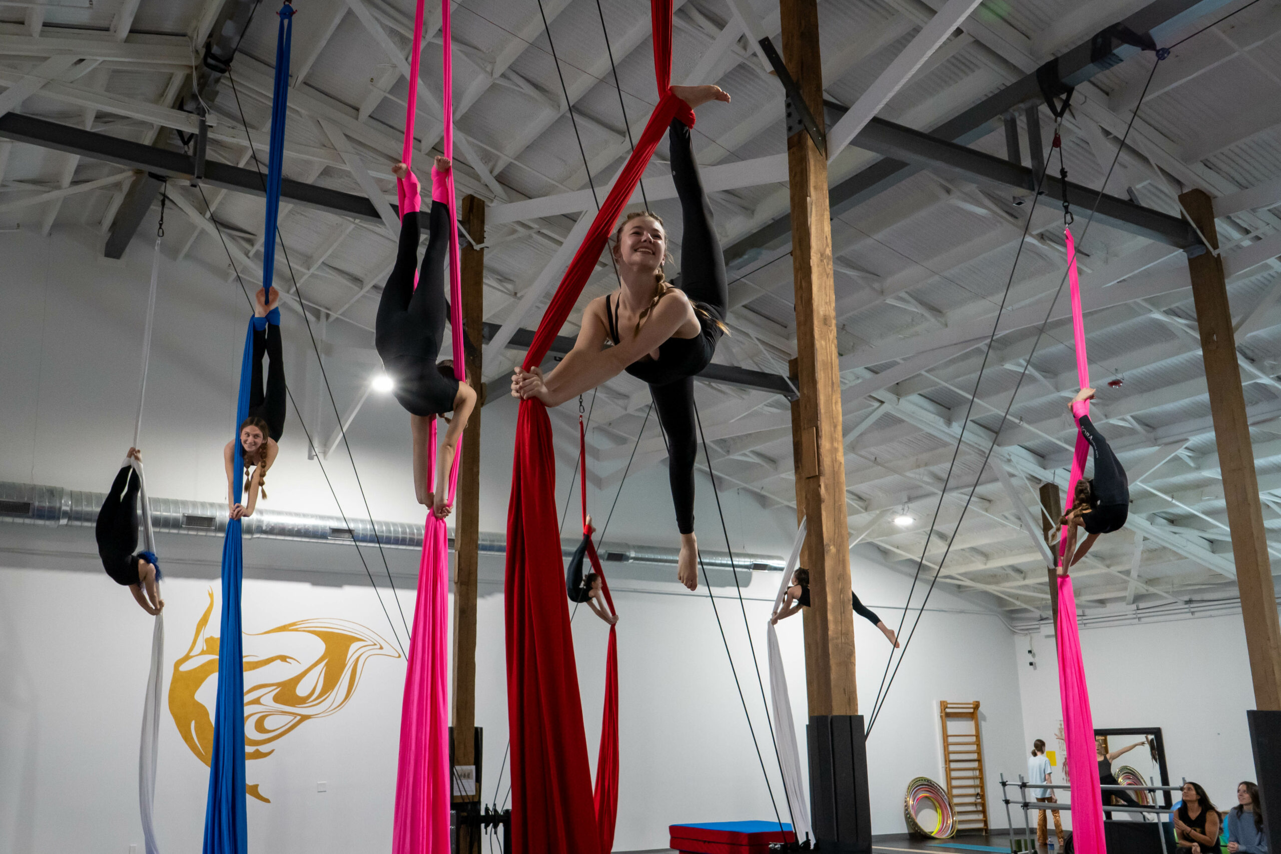 Aerial Silks — Bay Aerials Gymnastics