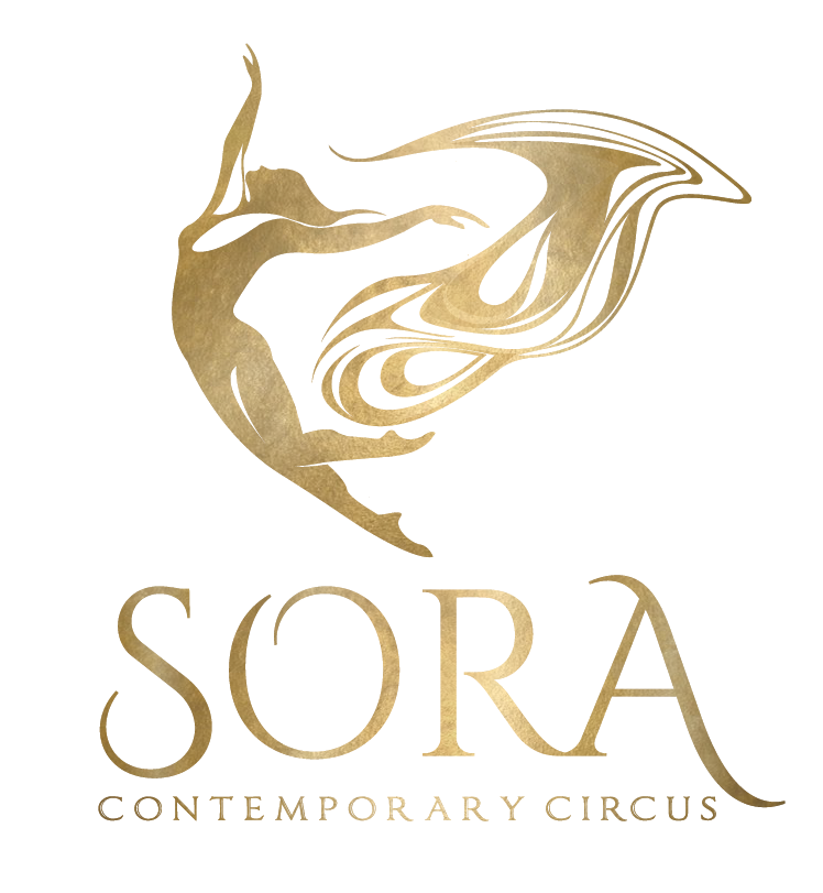 SORAc3
